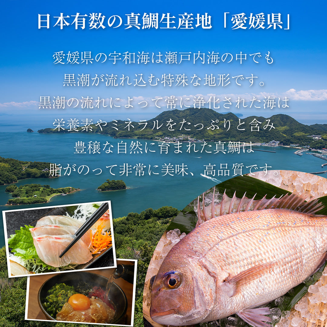 至福の海鮮だし茶漬け10食セット（高級ギフト包装可）